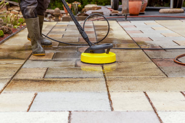Best Solar Panel Cleaning  in Northfield, IL